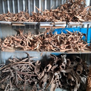 Cây Lũa Tự Nhiên Trang Trí Bể Cá,Ốc,Bò Sát..v
