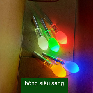 Bóng đèn led cao cấp gắn ngọn phao câu lục kèm pin ,sử dụng pin cr425 siêu sáng,siêu nhẹ,siêu bền