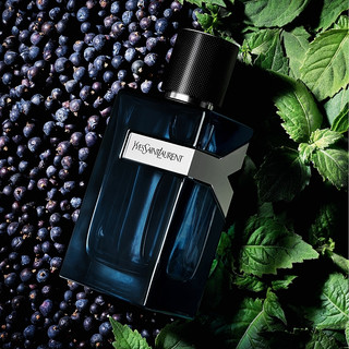 Nước Hoa Y for Men Eau de Parfum