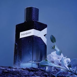 Nước Hoa Y for Men Eau de Parfum