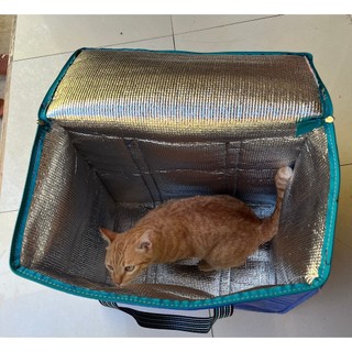 Túi bạt Cách Nhiệt size lớn có nhiều kích thước lựa chọn