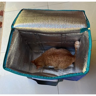 Túi bạt Cách Nhiệt size lớn có nhiều kích thước lựa chọn