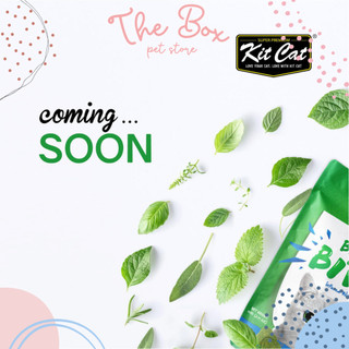 Snack Sạch Răng Mèo Kit Cat Breath Bites