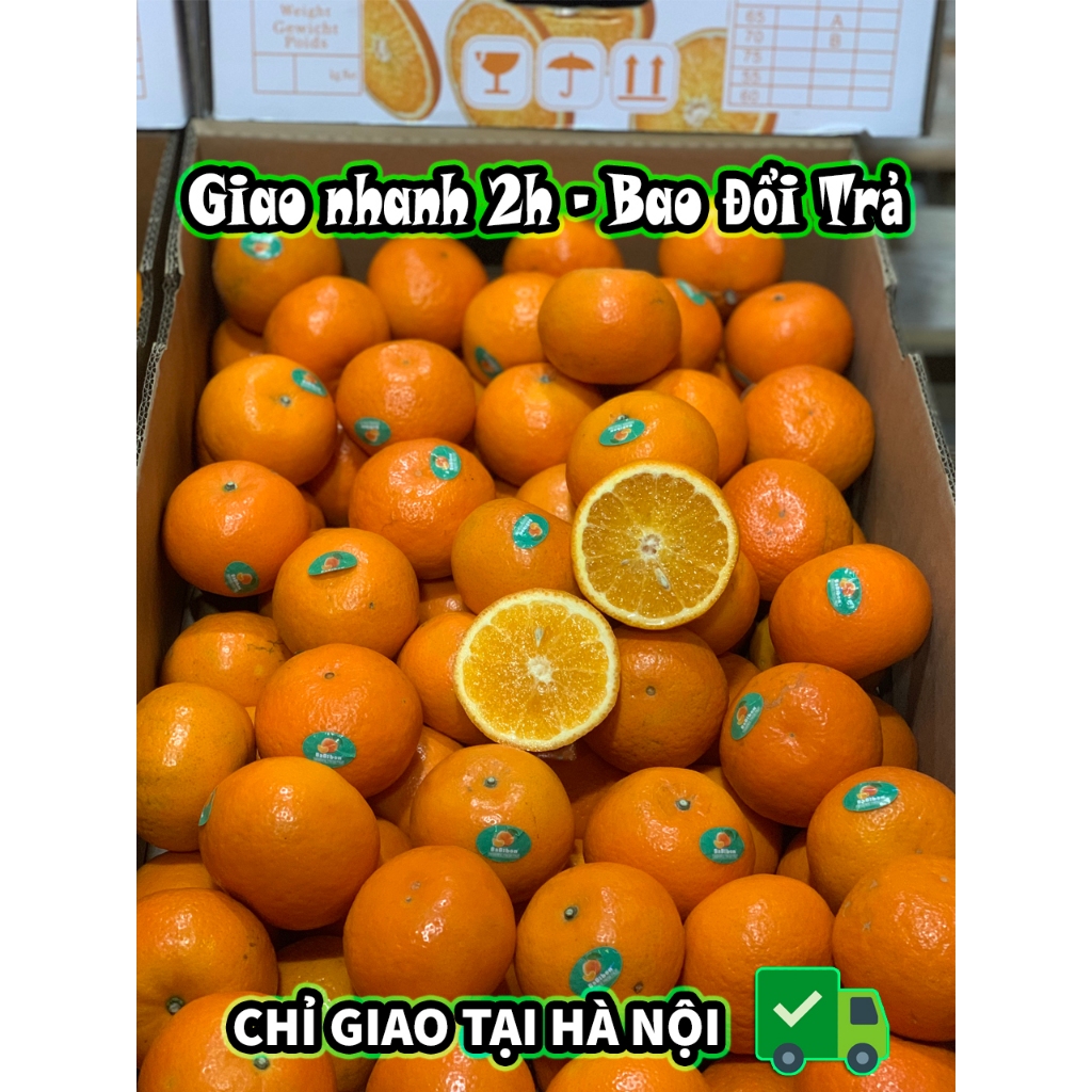 🍊🍊 Quýt Babibon Theo KG - Hoa quả nhập khẩu - Golden Fruit