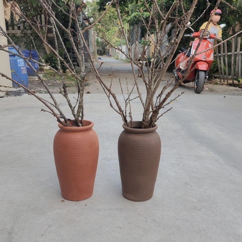  Chậu đất nung - chậu bình 30 mẫu mới miệng 14.5 cao 32cm 