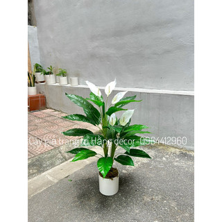 Cây giả-chậu cây hoa lan ý giả trang trí cao 1m2