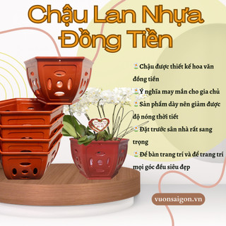 Chậu Lan Nhựa Đồng Tiền