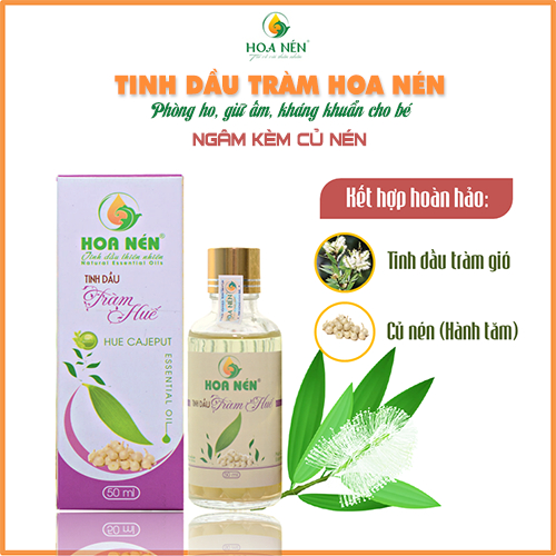 Tinh Dầu Tràm Huế Nguyên Chất Ngâm Kèm Củ Nén 50ml
