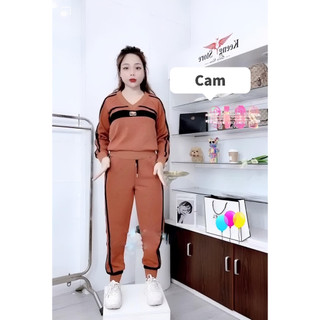 Bộ nữ cổ tim , Set đồ nữ thu đông quần áo dài tay trẻ trung phong cách