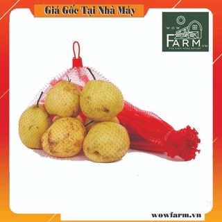 1kg Túi lưới nhựa màu vàng đủ size
