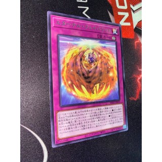 Eternal favorite - phni-jp073 rare