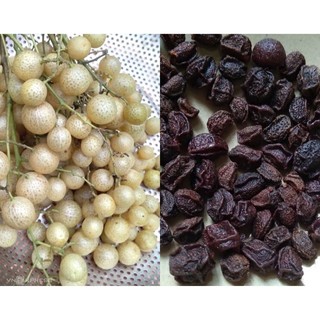 QUẢ MÁC MẬT KHÔ (ĐĂC SẢN TỈNH LẠNG SƠN)