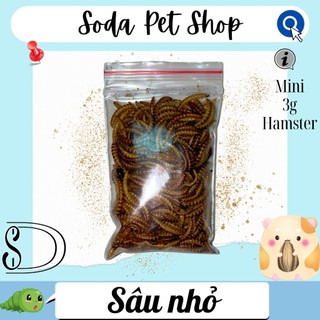 Sâu Nhỏ Rang Cho Hamster