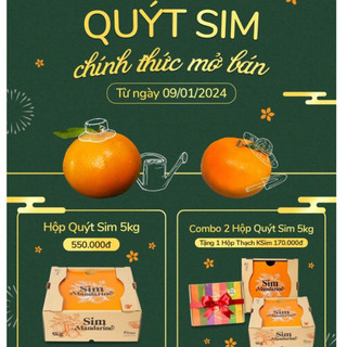 Quýt Sim Vitropi - Quýt tươi cắt mỗi ngày