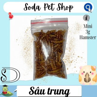 Sâu Trung Rang Cho Hamster