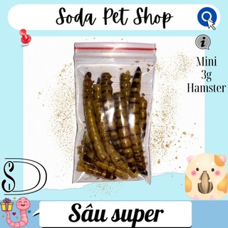 Sâu Rang Super Cho Hamster
