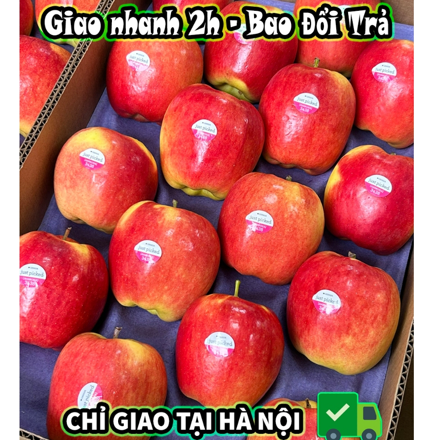 🍎 🍎 Táo Ambrosia hàng AAA S64 siêu đẹp - Bán Lẻ THEO KG - Hoa quả nhập khẩu - Golden fruit