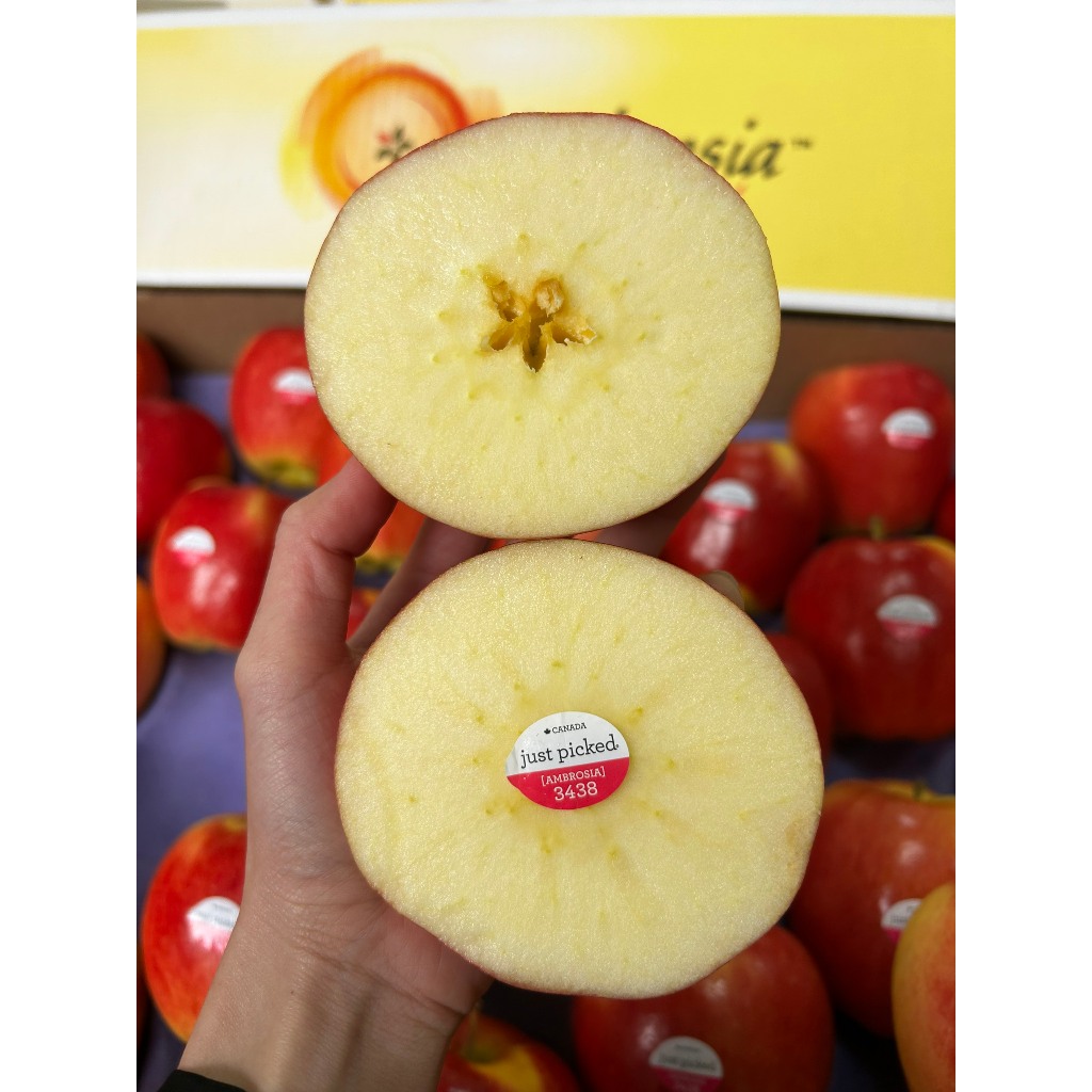 🍎 🍎 Táo Ambrosia hàng AAA S64 siêu đẹp - Bán Lẻ THEO KG - Hoa quả nhập khẩu - Golden fruit