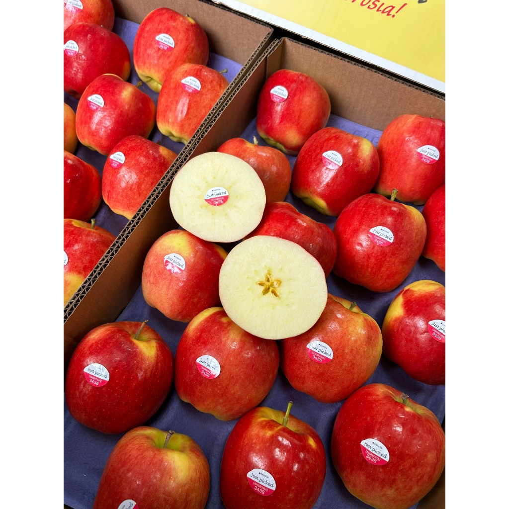 🍎 🍎 Táo Ambrosia hàng AAA S64 siêu đẹp - Bán Lẻ THEO KG - Hoa quả nhập khẩu - Golden fruit