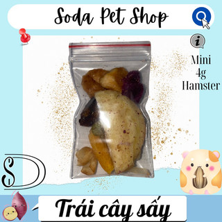 Trái Cây Sấy Cho Hamster