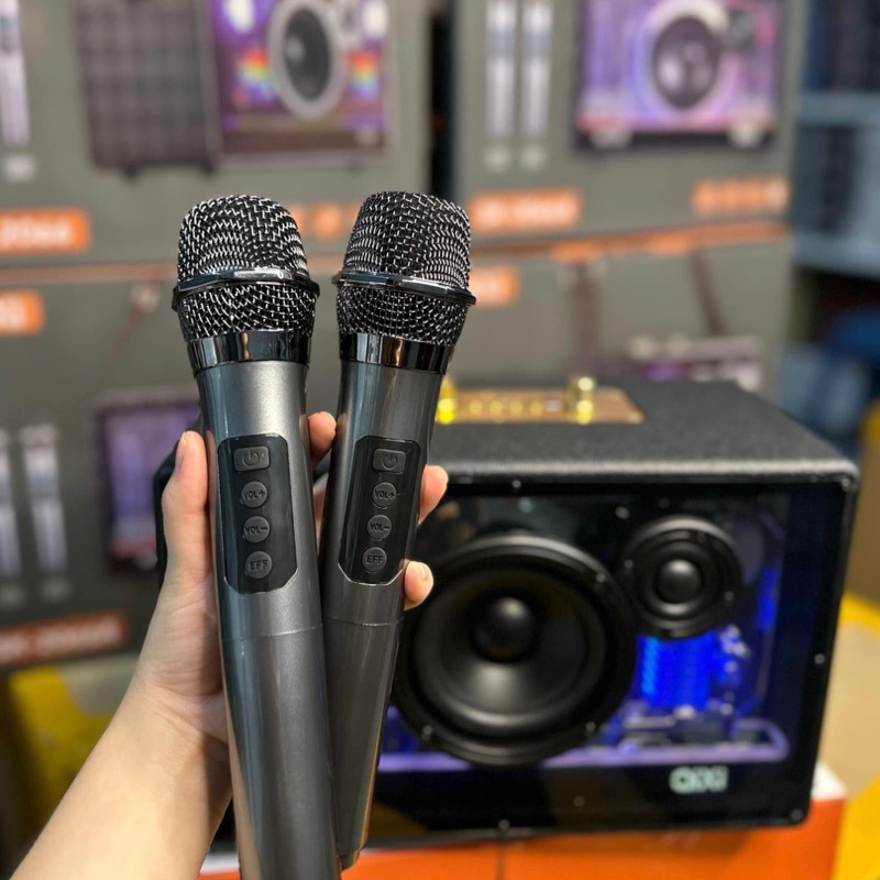 Loa karaoke bluetooth PETERHOT A66 / QIXI SK-2066A cao cấp kèm 2 micro, âm bass siêu hay, tích hợp đèn LED bắt mắt.