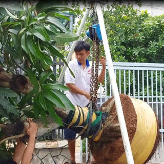 Cùm treo palang - dùng trong nâng hạ chậu kiểng , phù hợp với nhiều nhà vườn bonsai hiện nay