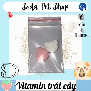 Vitamin Trái Cây Cho Hamster