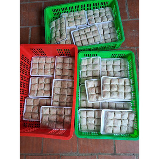 Nem cua bể - Set 12 chiếc