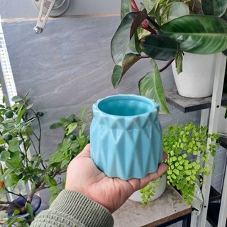 Thanh lý bình hoa gốm sứ