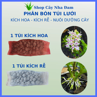 Phân kích thích ra rễ, ra hoa cho phong lan, cây cảnh, dưỡng cây, siêu tan chậm