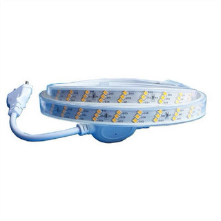 Dây led ngoài trời 2835 3 hàng bóng sáng trắng/vàng