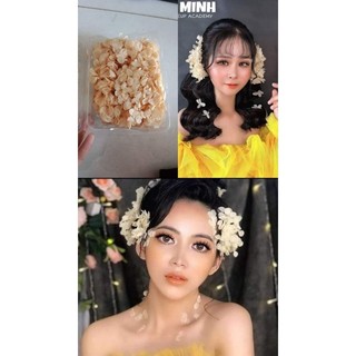 hoa khô tú cầu🌺 10g/1 hộp