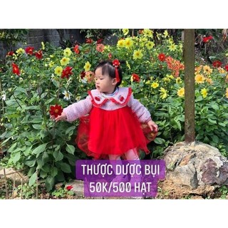 Hạt giống hoa thược dược 50k/ 500 hạt - vườn hoa nhà mị
