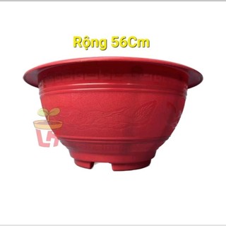 Chậu nhựa bít lỗ tròn truyền thống 56cm trồng sen nuôi cá