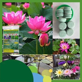 Phân NPK viên nén dùng cho cây ngập nước