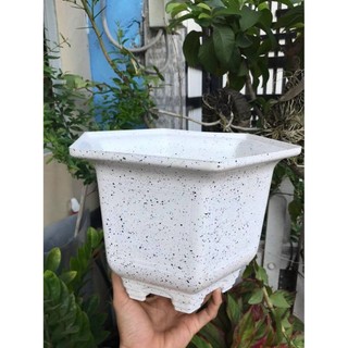 Chậu nhựa trồng cây màu giả đá lục giác, chậu to dày dặn bền đẹp, có chân cao 3cm và thân châu sâu rộng diện tích lớn