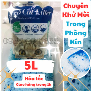 [Mã PET20K giảm 20K đơn 250K] Cát Thủy Tinh Secco Cho Mèo 5L Thấm hút - Khử Mùi - Tiết Kiệm