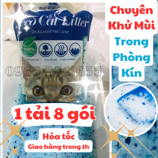 1 TẢI 8 BAO CÁT VỆ SINH THỦY TINH SECCO CHO MÈO (COMBO 8 BAO)