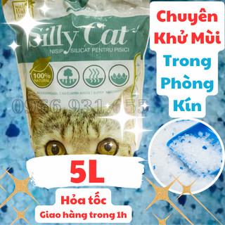 Cát Thuỷ Tinh Cho Mèo Secco - Chuyên khử mùi trong phòng kín - Thấm Hút Tốt - Tiết kiệm - Giá rẻ