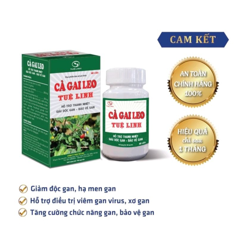 CÀ GAI LEO TUỆ LINH