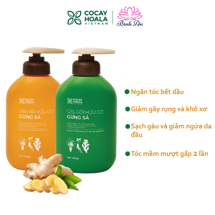 Bộ dầu gội 500g và dầu xả 500g Gừng Sả Cỏ Cây Hoa Lá - Dưỡng tóc bồng bềnh - Ngăn bết, gàu ngứa - Bình An Cosmetics