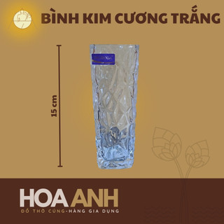 Bình thủy tinh - Bình hoa thủy tinh - Bình bông thủy tinh đẹp
