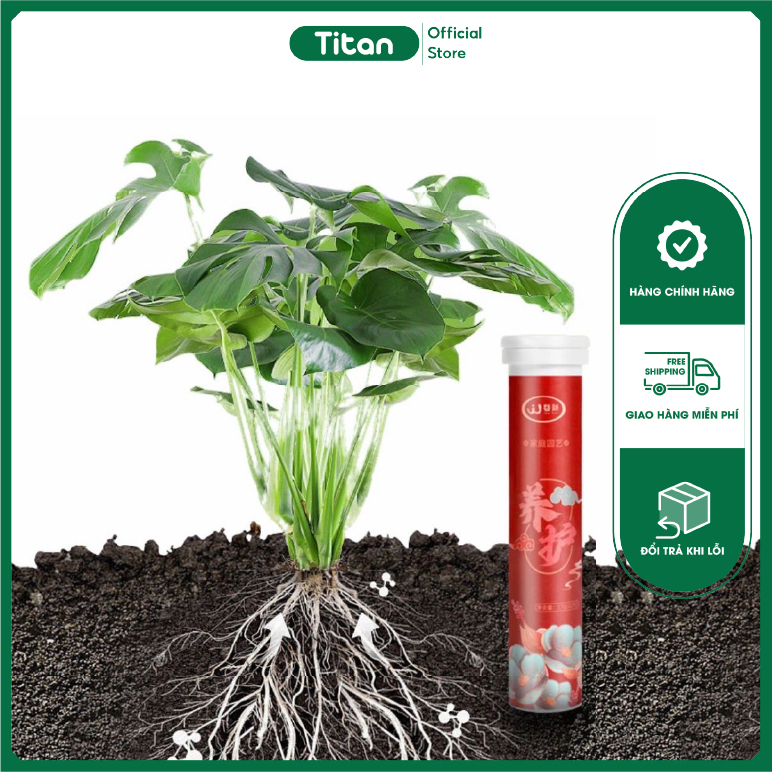 Phân Bón Vitamin Hữu Cơ Dạng Viên Nén Tan Chậm Cho Cây Cảnh, Bonsai Chính Hãng