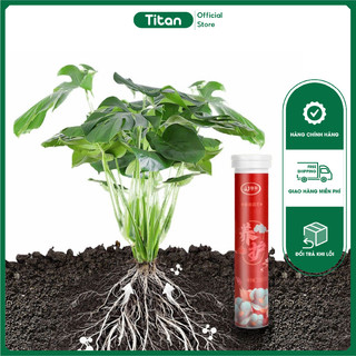 Phân bón vitamin hữu cơ dạng viên nén tan chậm cho cây cảnh, bonsai chính hãng
