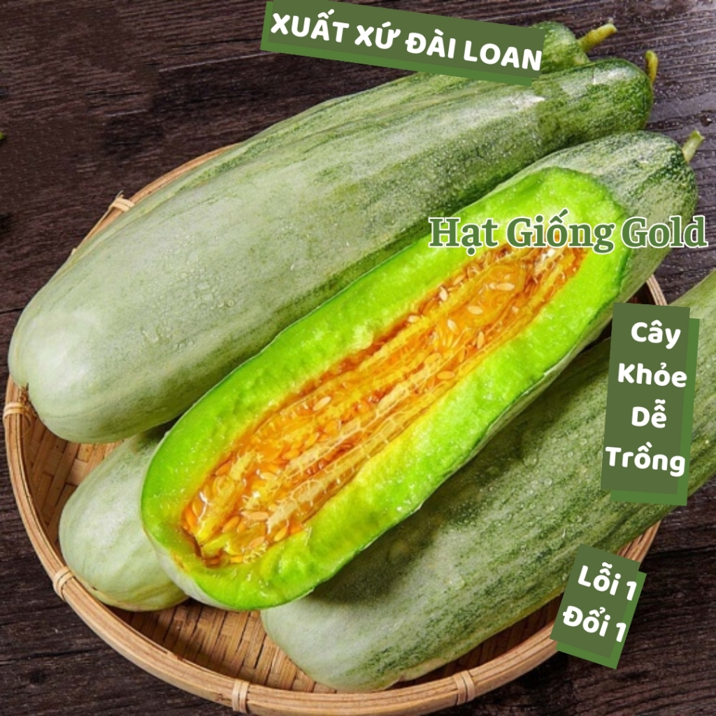 Hạt giống dưa lê chuối mật Đài Loan nhiều trái siêu hạt giống dưa lê cây khỏe chịu nhiệt trồng quanh