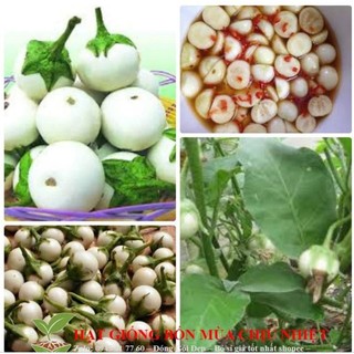 Cà pháo dùng để muối chua .