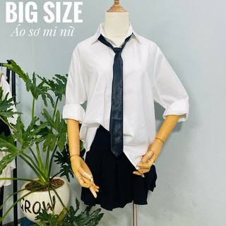 Áo sơ mi nữ Trắng có hàng big size - Vải được đánh giá tốt