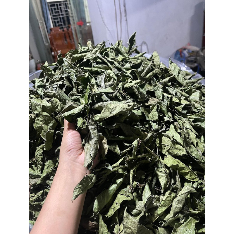 Combo 5kg Xạ đen Hoà Bình nguyên lá  giải nhiệt, ngủ ngon, hỗ trợ K - U - Bư/ớu