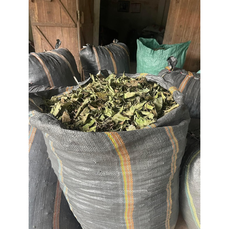 Combo 5kg Xạ đen Hoà Bình nguyên lá  giải nhiệt, ngủ ngon, hỗ trợ K - U - Bư/ớu