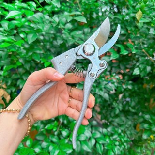 Kéo tỉa cành, cắt cành, kéo cắt tỉa cây cảnh rhino cán bạc thép sk5